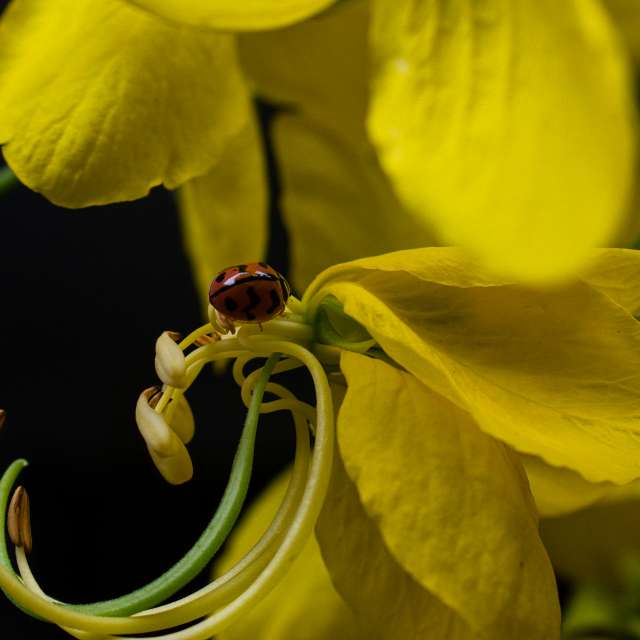 Previsões do tempo com lindas fotos de Vimal_Ram_S