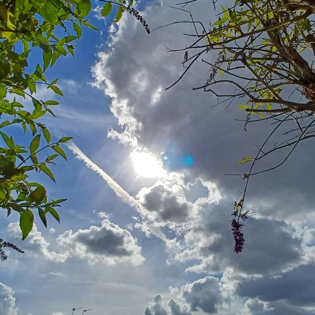 Photos Homme. Prévisions météo avec de superbes photos de Lolli de Maidstone