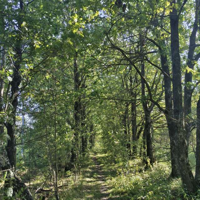 Group. Weather forecasts with beautiful photos by Aleksei Photos in Tula