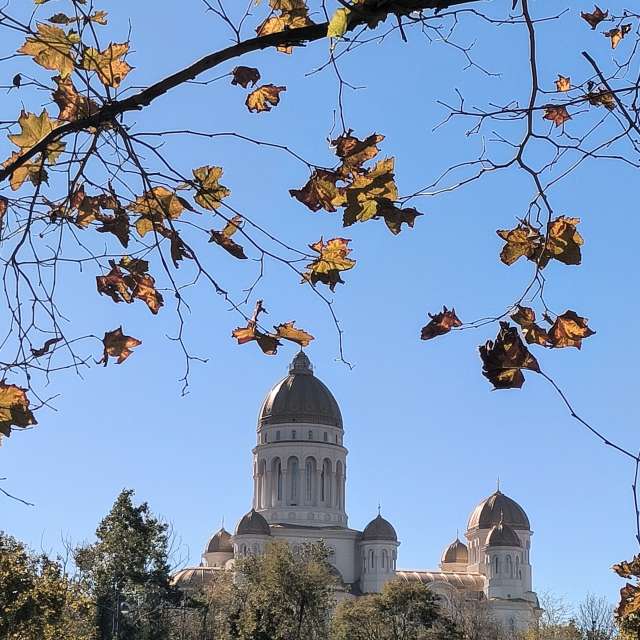 Fotos del Bosque. Pronósticos del tiempo con hermosas fotos de YanBog en Bucharest