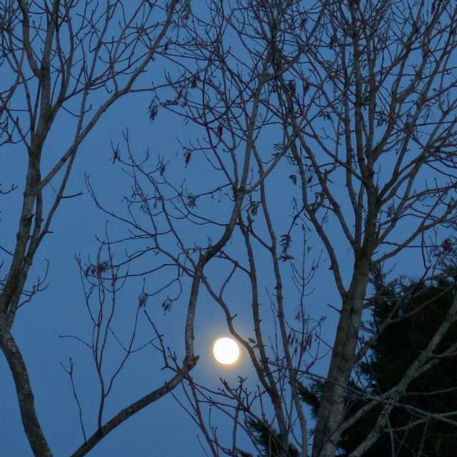 Прогнозы погоды с чудесными фотографиями, сделанными Sunshinelady62