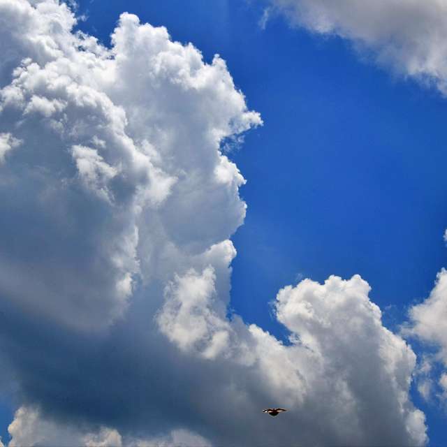 Weather forecasts with beautiful photos by ConstantinR