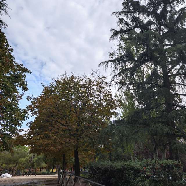 Weather forecasts with beautiful photos by Adri_fp