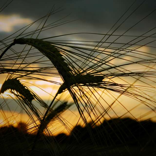 Hình ảnh Thời tiết ở Thế giới. Dự báo thời tiết với những bức ảnh đẹp của DarekCho