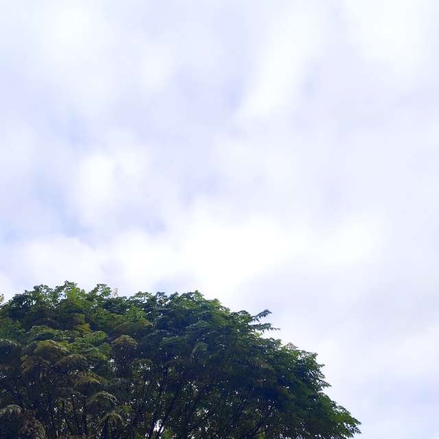 Pronósticos del tiempo con hermosas fotos de Abo_Malek