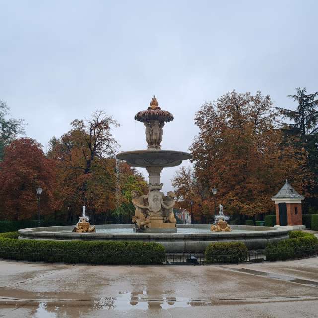 Weather forecasts with beautiful photos by deliagt