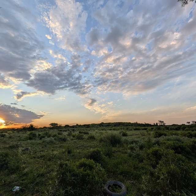 天气预报，带fergato精美的照片