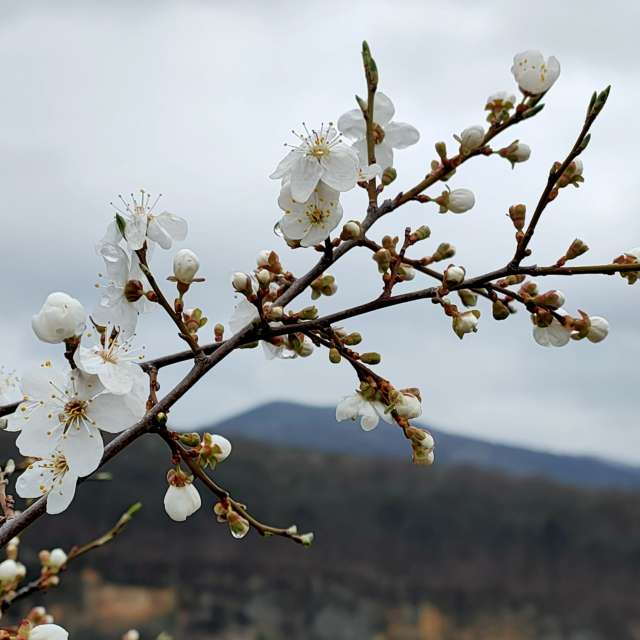 Wettervorhersagen mit schönen Fotos von Belkka303