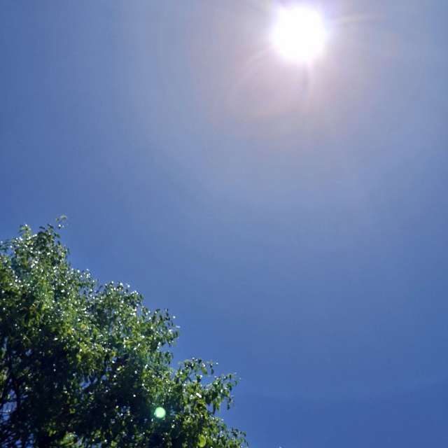 Star. Weather forecasts with beautiful photos by Wen-ya Huang Photos in Kaohsiung City