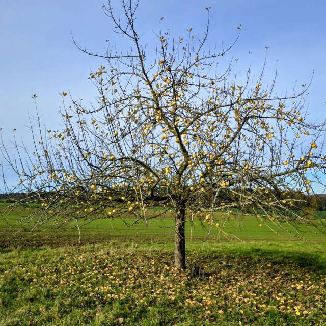 Grassy. Weather forecasts with beautiful photos by Hela Photos in World