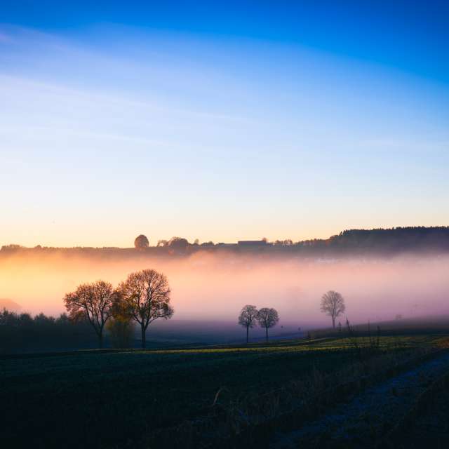 Previsões do tempo com lindas fotos de Li-Bro
