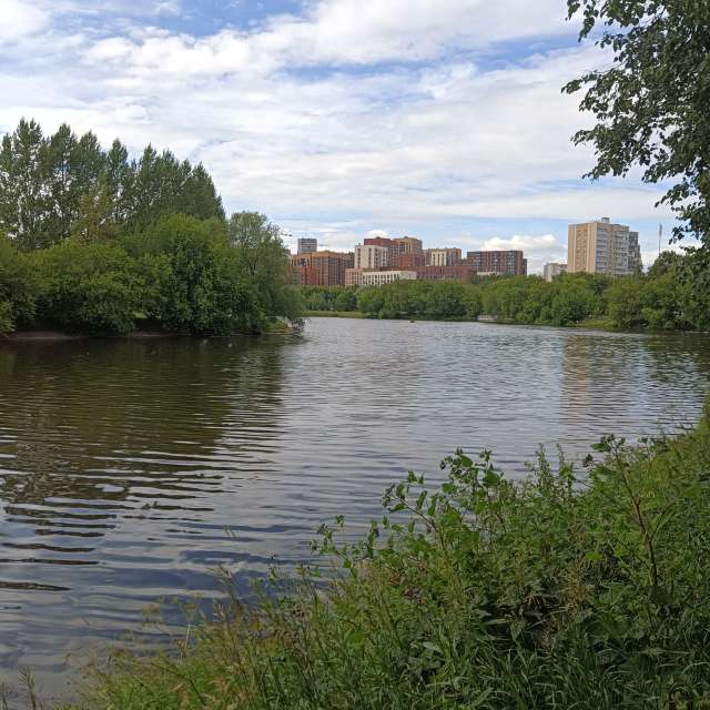 Herd. Weather forecasts with beautiful photos by Amanda_and_Valdemar_Che Photos in Izmaylovo District