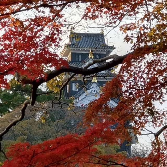 Field. Weather forecasts with beautiful photos by あさのジジ Photos in World