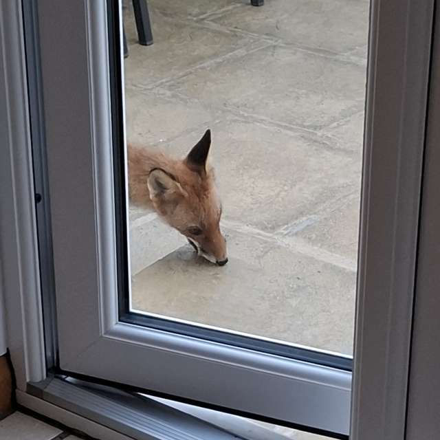 Прогнозы погоды с чудесными фотографиями, сделанными Lolli