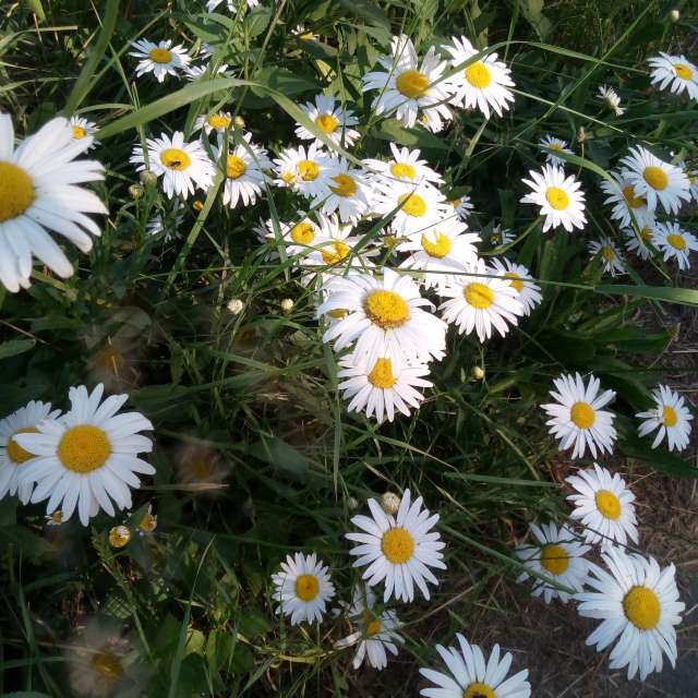 Weather forecasts with beautiful photos by Olga_K