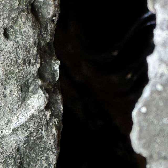 Prévisions météo avec de superbes photos de Sonia