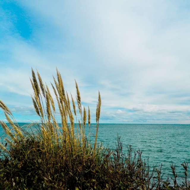 Dự báo thời tiết với những bức ảnh đẹp của DarekCho