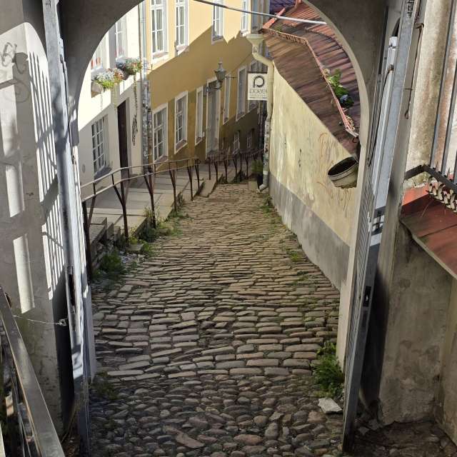 Weather forecasts with beautiful photos by Mircea