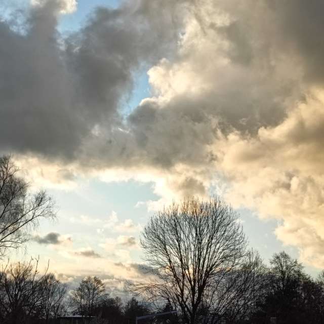 Previsões do tempo com lindas fotos de Madlen