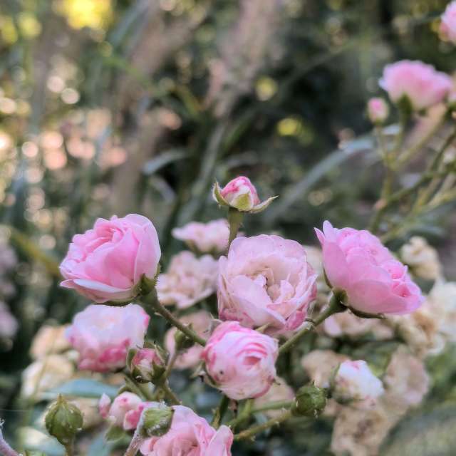 Fotos sobre el clima en Mundo. Pronósticos del tiempo con hermosas fotos de YanBog