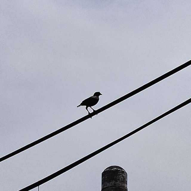 Traffic. Weather forecasts with beautiful photos by Wen-ya Huang Photos in Kaohsiung City