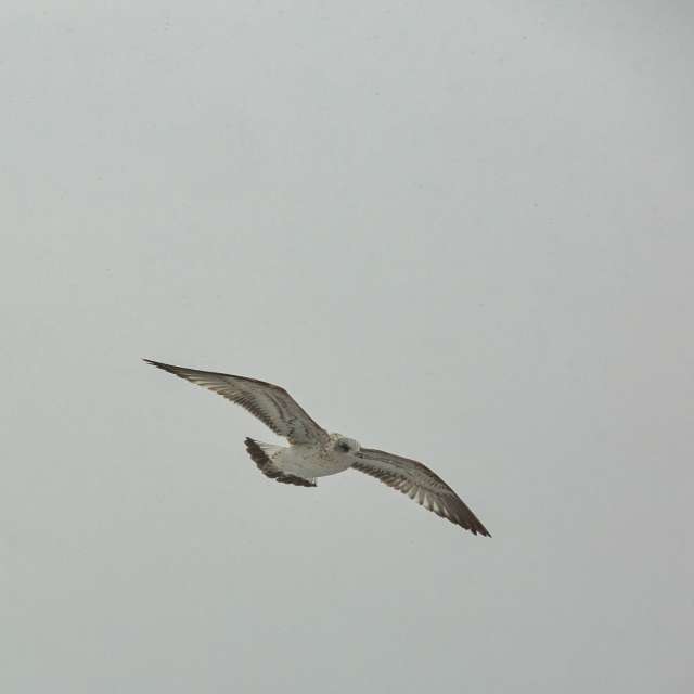 Прогнозы погоды с чудесными фотографиями, сделанными martinm611