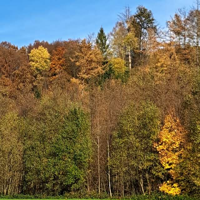 天气预报，带NikolausMinas精美的照片