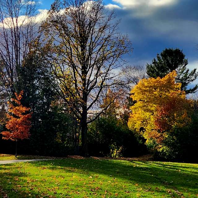 Fotos del Parque. Pronósticos del tiempo con hermosas fotos de KevinG en Gow Park