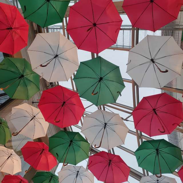 Weather forecasts with beautiful photos by Petewhites