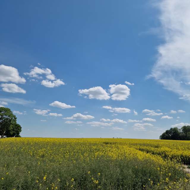 世界の天気写真. xPrzybyLxの美しい写真による天気予報