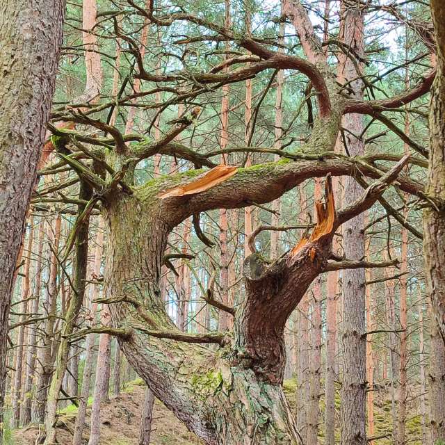 Fotos del Clima. Pronósticos del tiempo con hermosas fotos de Romek58 en Województwo Łódzkie