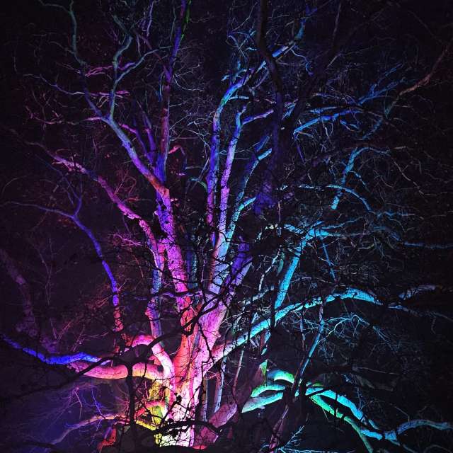 Weather forecasts with beautiful photos by PeterR