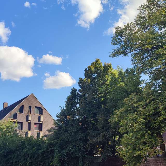 Traveling. Weather forecasts with beautiful photos by Tercis Photos in Ettlingen