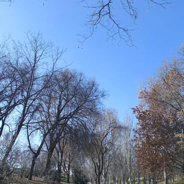 Weather forecasts with beautiful photos by Tadeo_Vzla