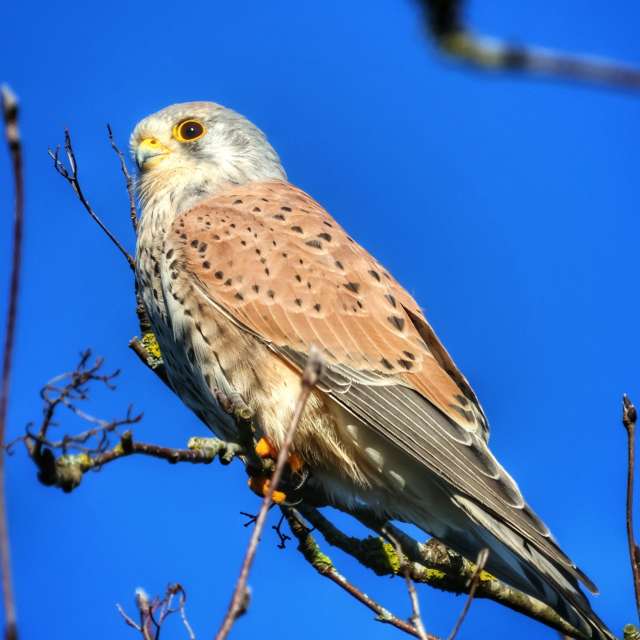Prévisions météo avec de superbes photos de Lotti5507