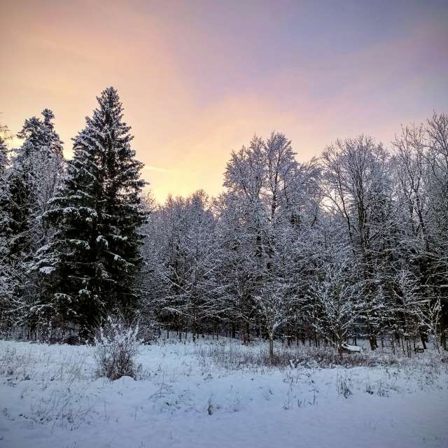 Teich. Wettervorhersagen mit schönen Fotos von Kripo Fotos Ladek Zdroj