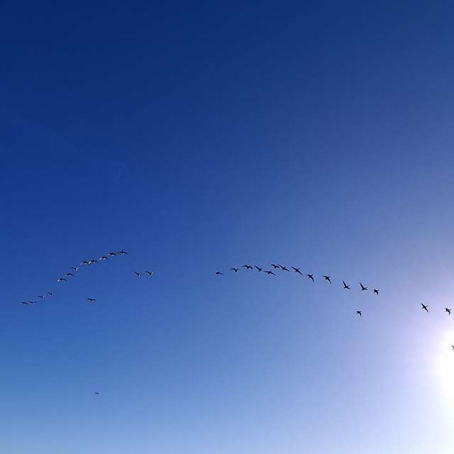 Lolliの美しい写真による天気予報