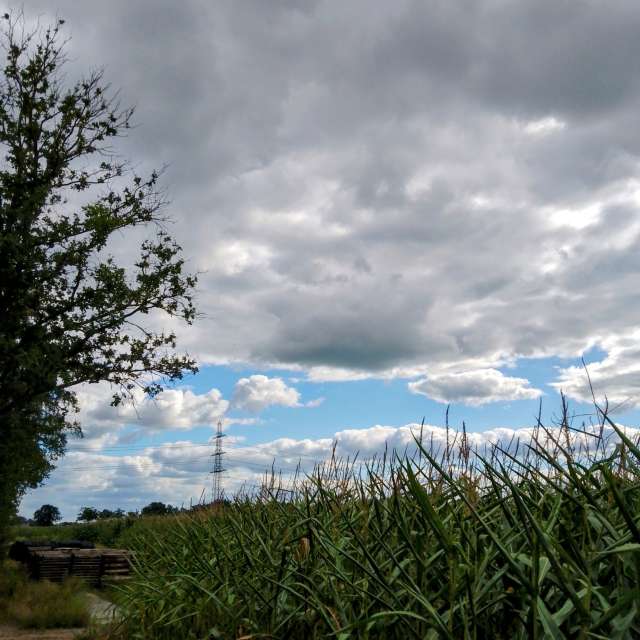 Glasmanの美しい写真による天気予報