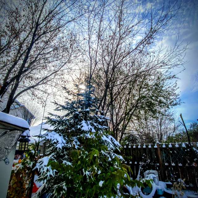 Jumping. Weather forecasts with beautiful photos by Lulu5523 Photos in le Plateau