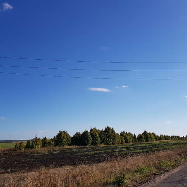 天气预报，带andreyfetisov精美的照片