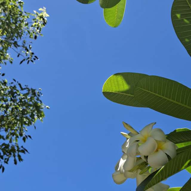 Photos Vol. Prévisions météo avec de superbes photos de Wen-ya Huang de Kaohsiung