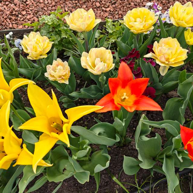 Previsões do tempo com lindas fotos de newgen