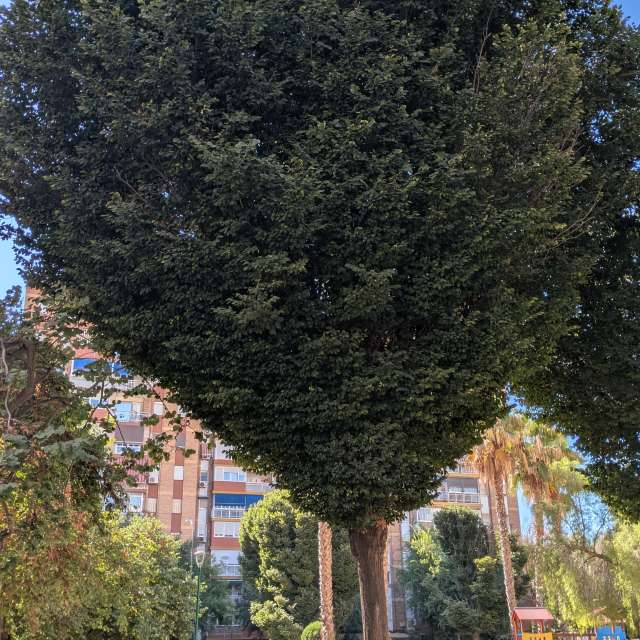 Stoppen. Wettervorhersagen mit schönen Fotos von Patán Fotos Málaga