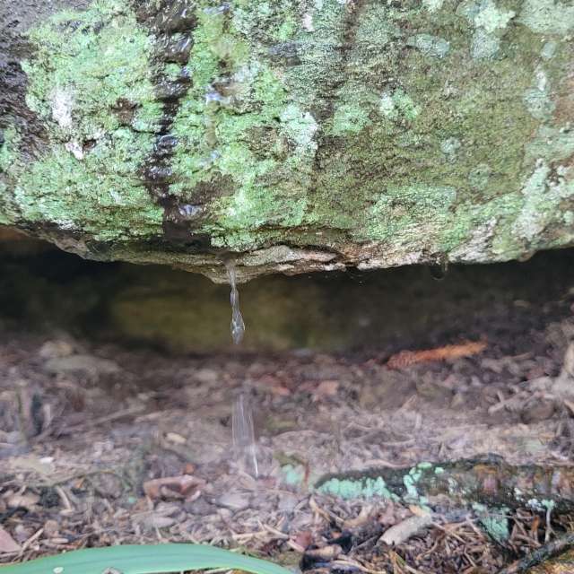 Pronósticos del tiempo con hermosas fotos de Tinch85