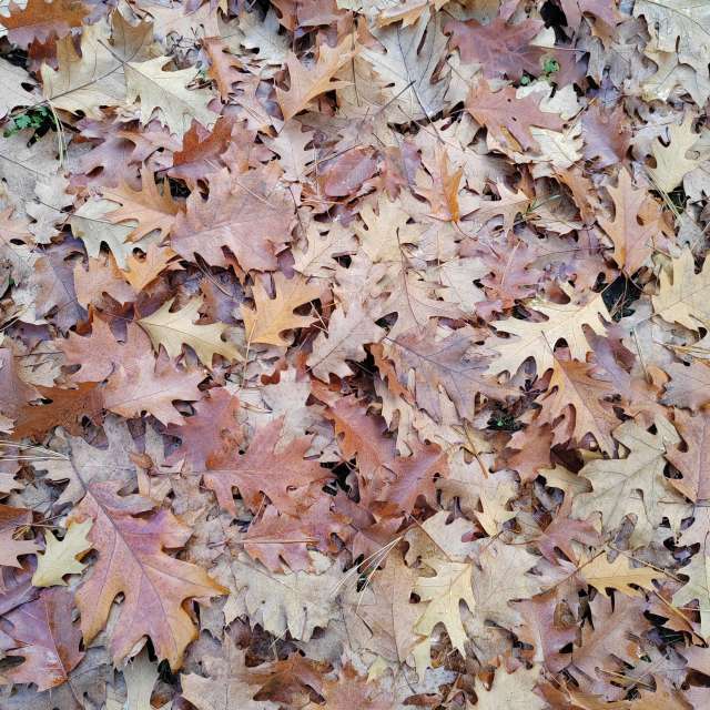 Wettervorhersagen mit schönen Fotos von Albert_Smelovtsev