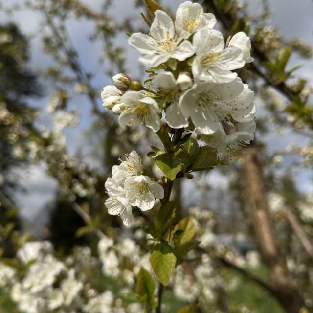 Covered. Weather forecasts with beautiful photos by Svet-Lana Photos in Rīga