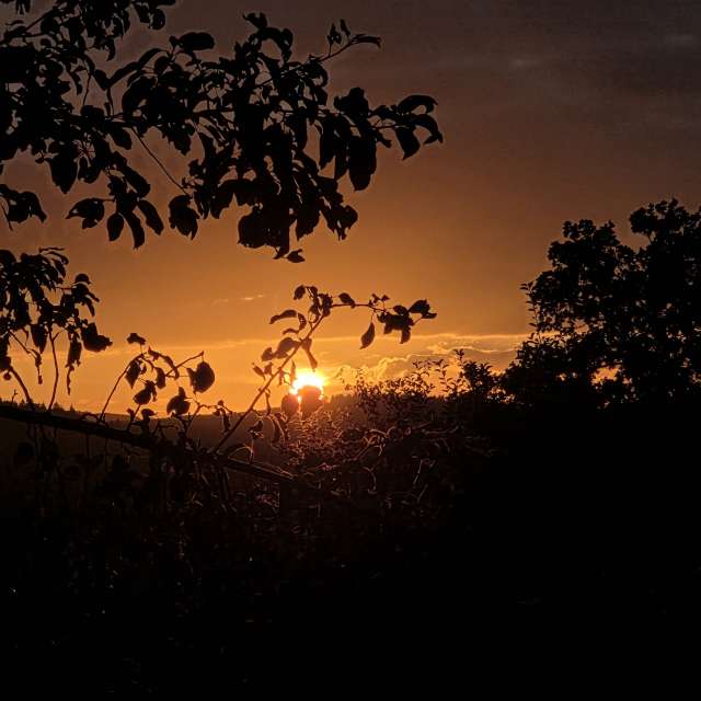 Weather Photos in Sunset. Weather forecasts with beautiful photos by Brtd