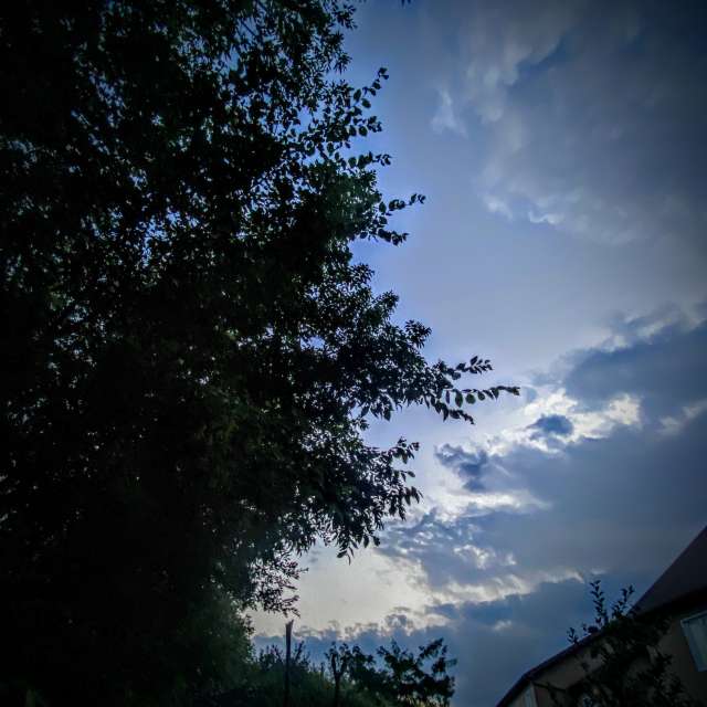 Young. Weather forecasts with beautiful photos by Lulu5523 Photos in le Plateau