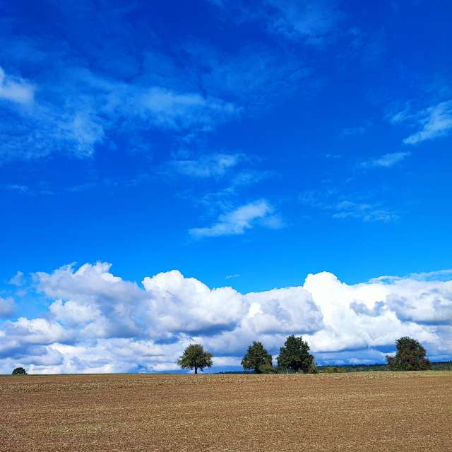 Previsões do tempo com lindas fotos de DJFuchs