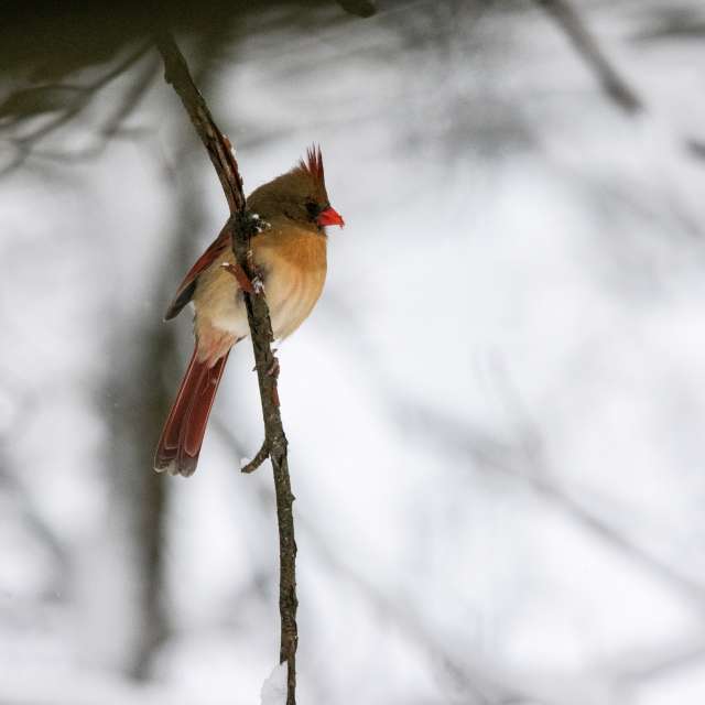 krantzjhの美しい写真による天気予報